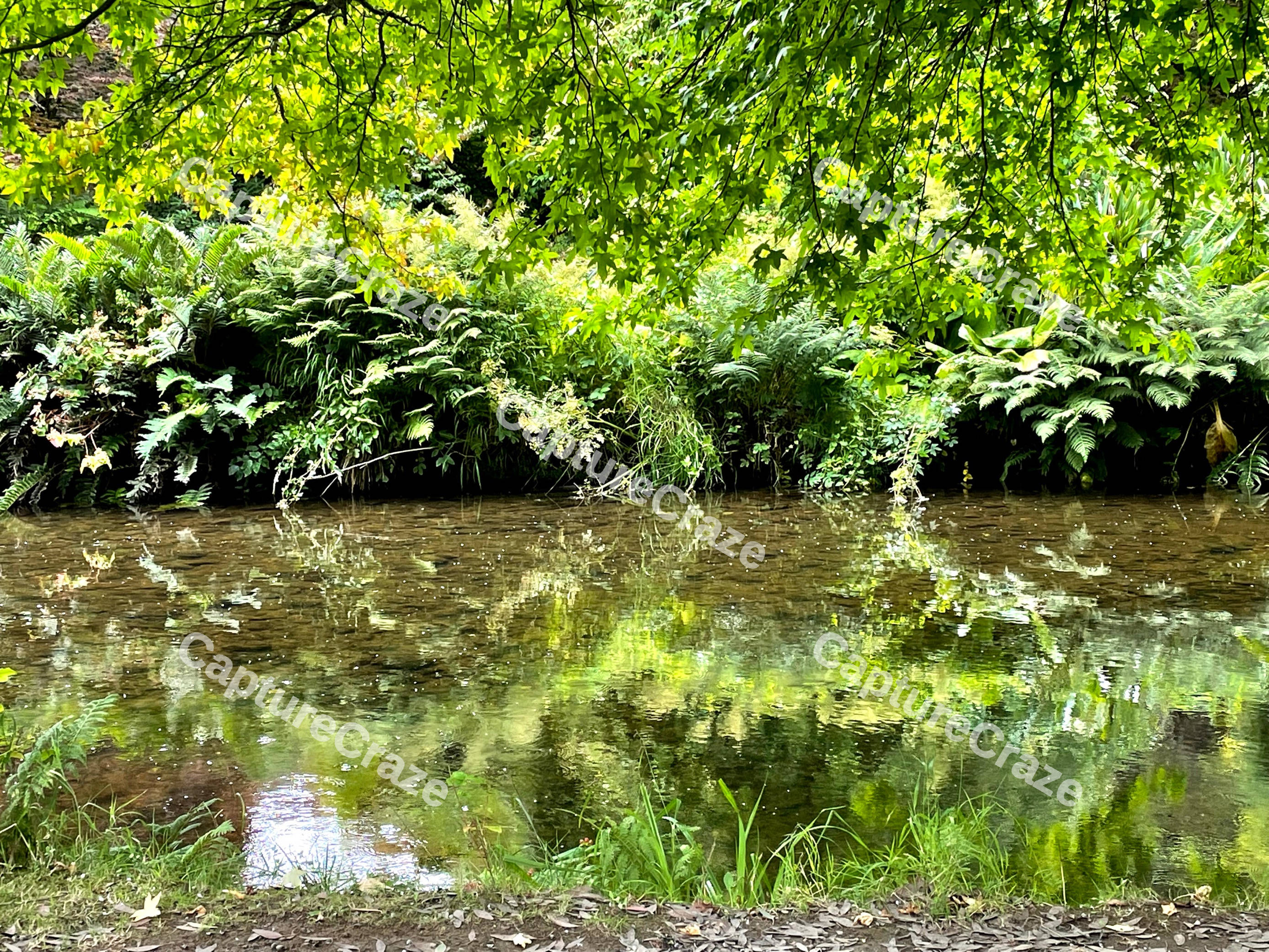 Green Lake